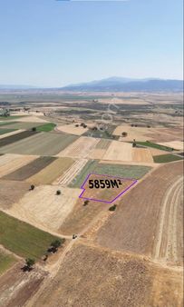 Şahin Büke Emlaktan Denizli Acıpayam Ucarı Mah.5.859 M2 Resmi Yolu Olan Satılık Tarla