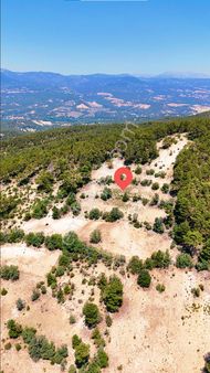 Şahin Büke Emlak Denizli Acıpayam Kuzören Mah.satılık 5.275 M2 Arazi