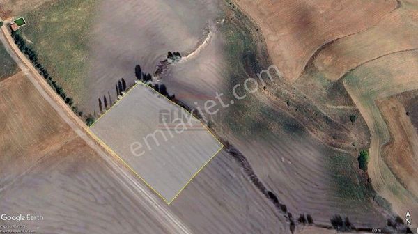 Güvenay – Çorum İskilip Yolu Çanakçı Köyü Civarı – 5.314 M² Satılık Tarla