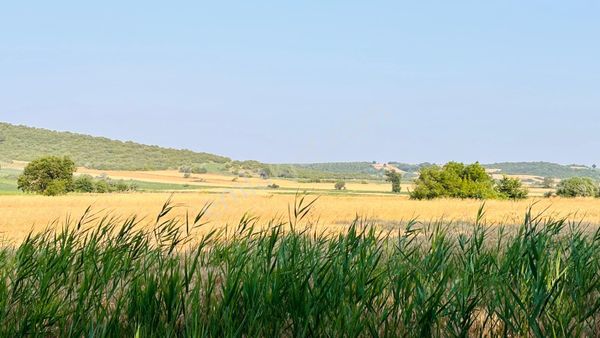 Bursa Mudanya Çayönü Mahallesinde Yatırıma Uygun 875 M2 Tarla