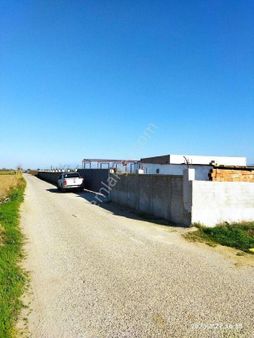 İzmir Bayındır Çırpıda 15 Dönüm Satılık Çiftlik