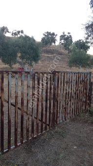 Aydın Koçarlı Çulhalarda 2+1 Eski Evi Olan 9,5 Dönüm Arazi