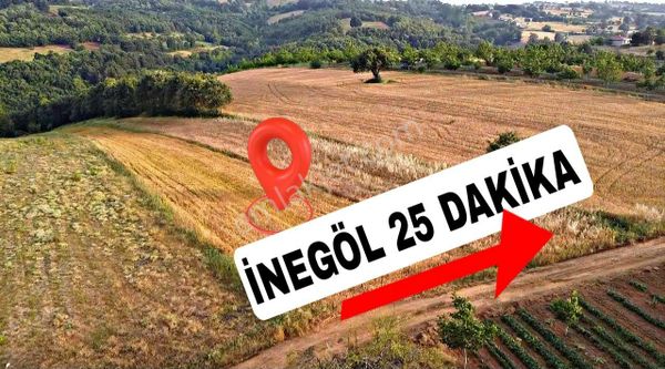 Yolu, Suyu Olan ! İnegöl Cemiyet'te Köy Dibinde 4.452 M2 Tarla