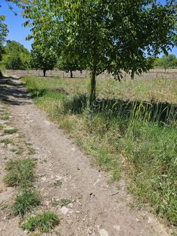 Yolu ,suyu Olan Bursa Keles Davutlar Köyünde 1 Dönüm Hobi Bahçesi
