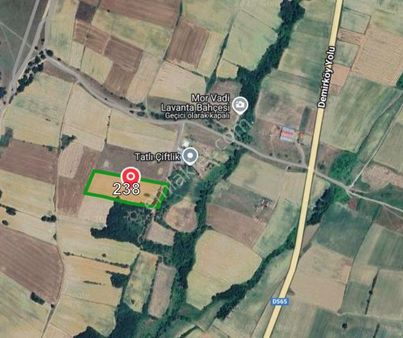 Kırklareli, Pınarhisar, İslambeyli’de Yatırım Fırsatı 12.901 M² Satılık Tarla