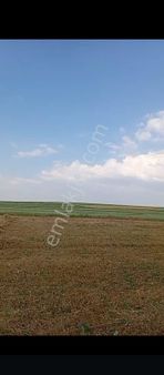 Kars Merkeze Bağli Acil Satilik Arazi