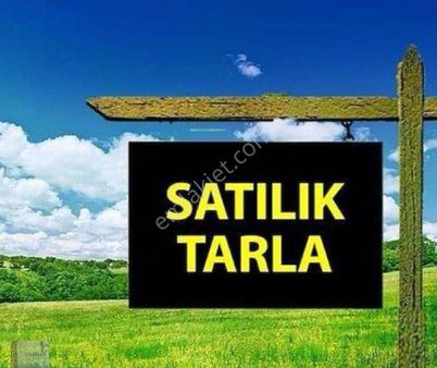 Tekirdag Merkez Ferhadanlıda Satılık Tarla