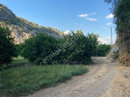 Ortaca'da Satılık 1543 M2 İmarlı Arsa