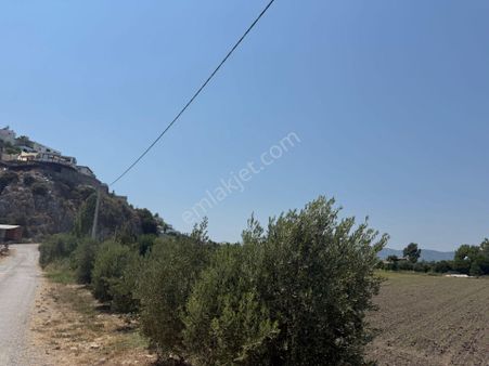 Dalaman Kapıkargın Mahallesinde 2890 M2 Tapulu Satılık Tarla