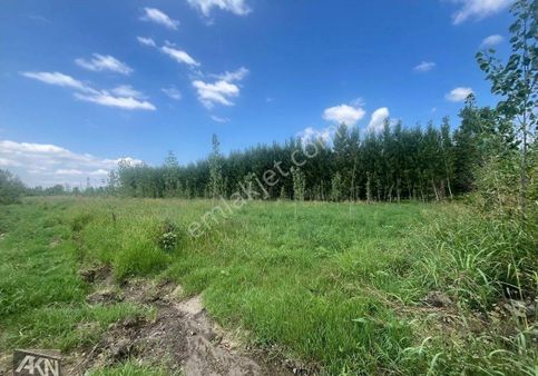 Akn Gayrimenkulden Satılık Tarla