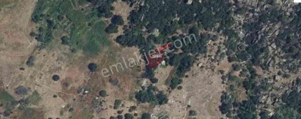 Muğla Milas Sakarkaya' Da Satılık Bahçe