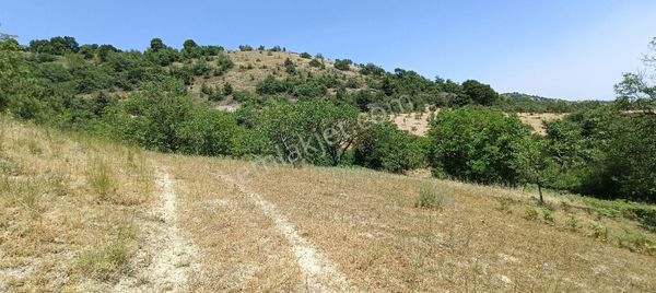 E&f Gayrimenkul'den Sarıpınar Mahallesinde Yatırıma Uygun Tarla