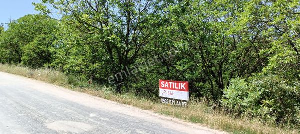 E&f Gayrimenkul'den Sarıpınar Mahallesinde Asfalt Yola Cephe Acil Satılık Tarla