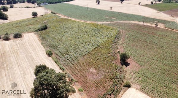 Balıkesir Karesi Çaypınar Mh. Satılık Yola Sıfır 8760 M² Tarla