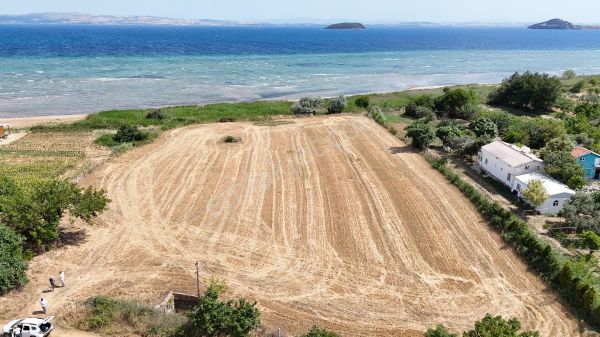 Sarozun Maviliğine Komşu, Gelecek Vaat Eden Parsel