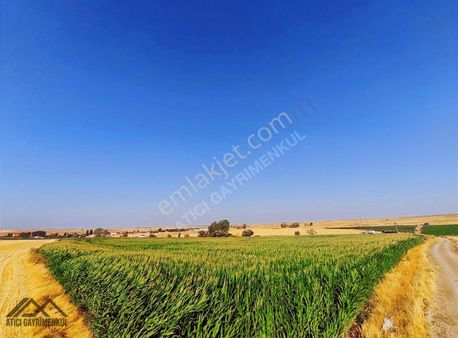 Aşağı Çağlanda Büyük Tarıma Elverişli Satılık Tarla