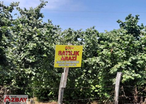 Öcelide Yatırımlılık Satılık Arsa