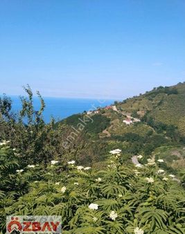 Deniz Manzaralı 15 Dönüm Satılık Villalık Arazi