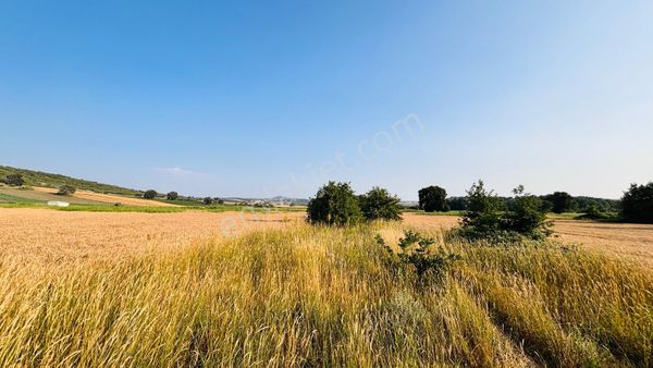 Öncü Emlaktan Bursa Mudanya Çayönü Mahallesinde Yatırıma Uygun 2100 M2 Tarla