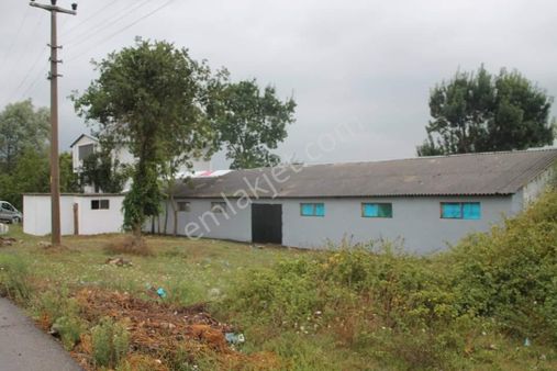 Kiralık Kandıra Karaağaç Köyünde 10.000m2 Tarla 1.000m2 Kapalı Eski Tavuk Çifliği