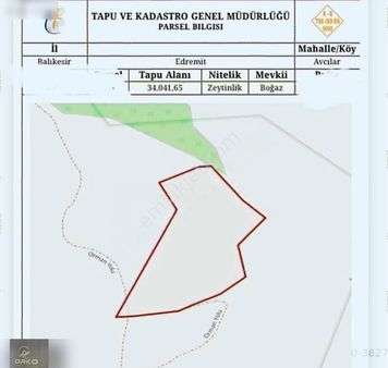 Orko Gayrımenkul'den Avcılar'da Satılık 34.000 M2 Zeytinlik