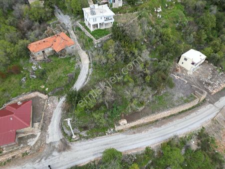 750 M2 Gözübüyükte Ev Ve Bahçe Yeri