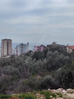 Ayaş Yemişkumunda Satılık Kelpir Daire