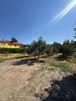 Ortaca Ekşiliyurt Da 538 M2 Arsa Satılık