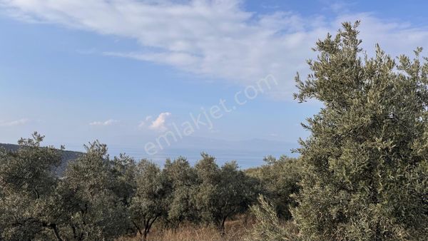 Satılık Göllüce Mah