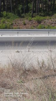 Göcek'de Ticari Parsel