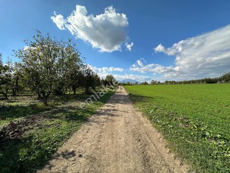 Fiyat Düşürdük!!! Acil Satılık