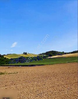 Sadoğlu Gayrimenkul'den Satılık 3.759 M2 Altınyazı