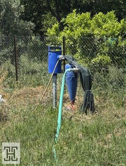 Salur Mahallesinde - 2146m2 - Avokado Bahçesi