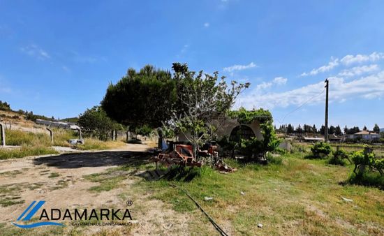 Ada Marka Gayrimenkul'den İzmir Selçuk Burgaz'da Satılık Üzüm Bağı
