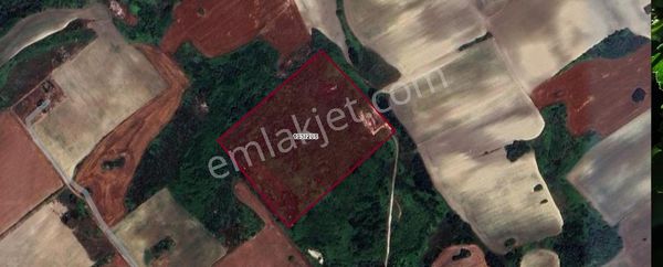 Arnavutköy Dursunköyde Satılık Arsa , 250 M2 Yolu Var Evlerin Yakını