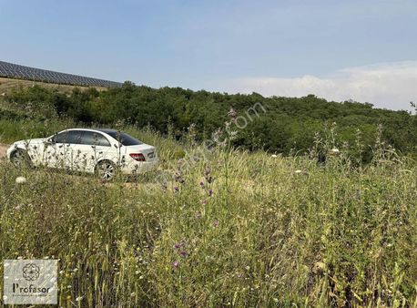 Profasor *dan Kestel Soğuksu *da Satılık Yola Cephe Tarla