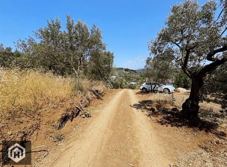 Mudanya Işıklı'da Satılık 238mt2 Resmi Yola Cephe Zeytinlik