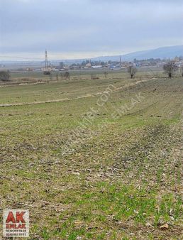 İnönü De Resmi Yollu Köy Kenarı Arazi