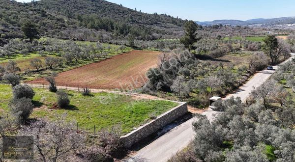 Yerkesık'te Asfalt Yol Cepheli Arazi