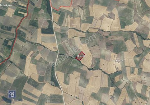 Cb King'den Kamçılı Mh. Satılık 4.523 M2 Tarla