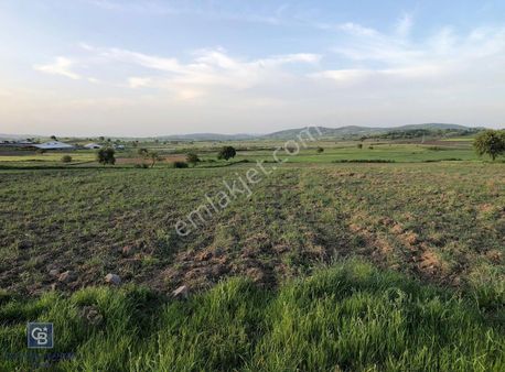 Cb King'den Kamçılı Mahallesinde 14.750 M2 Satılık Tarla