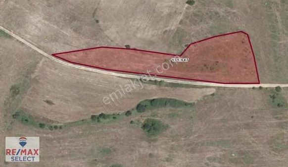 Kırklareli Karaabalarda Yola Cephe 6098 M2 Tarla