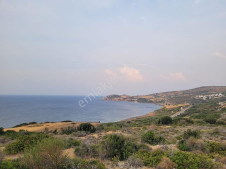 Karaburun Tepeboz Da Satılık Ful Deniz Manzaralı Tarla