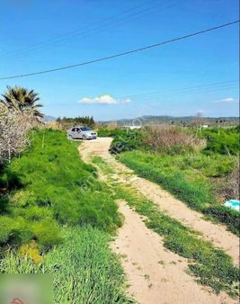 Mumcular'da Anayola 250 Metre 2200 M2 Yatırımlık Tarla