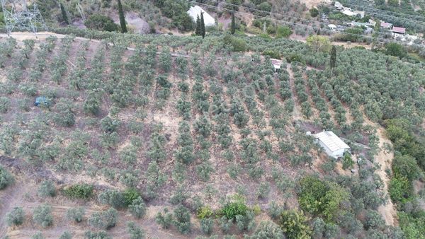 Antant Emlaktan Muratoba Köyünde Yolun Kenarında