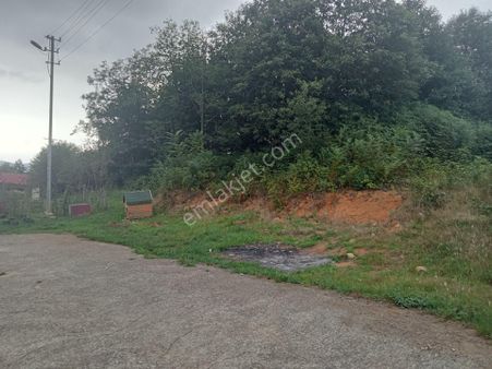 Özgür Emlak'tan Emsalsiz Konumda 5830