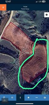 Yıldırım Yapı&gayrimenkulden Satılık Zeytinlik&meyve Bahçesi