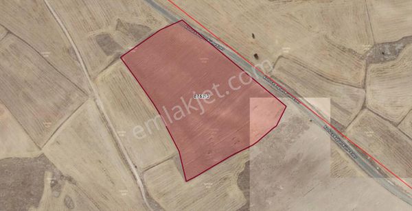 Erkilet Yukarı Mahallesi Marjinal Alınmış 29.000 Metre Satılık Tarla