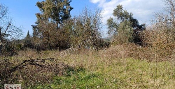 Ula Merkezde Satılık Arsa