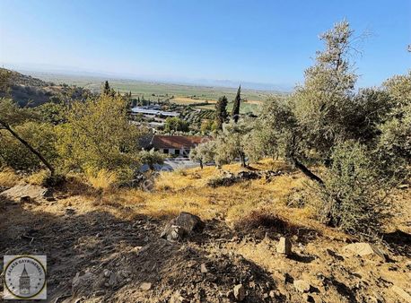 Galata Gayrımenkulden Koçarlı Tekeli Mah De 315 M² Zeytinlik